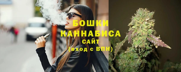 прущие грибы Аркадак