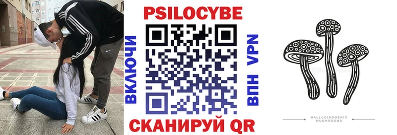 Галлюциногенные грибы мицелий  купить закладку  Карачаевск 